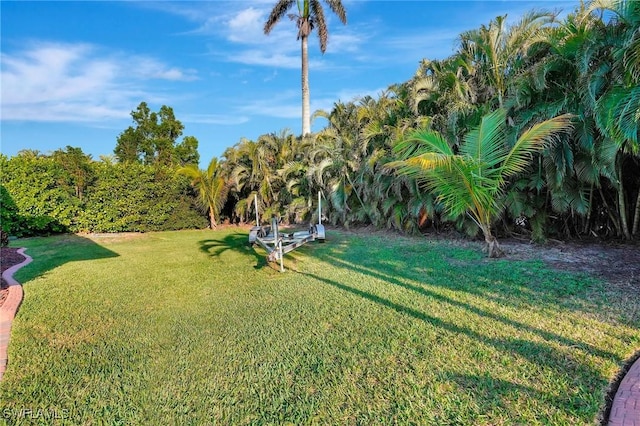 view of yard