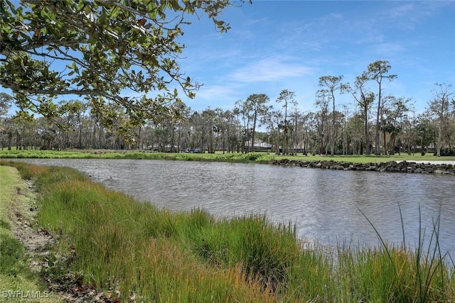 water view