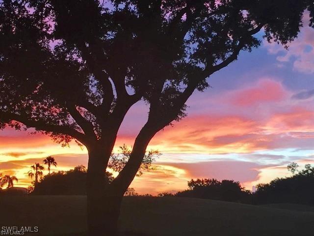 view of nature at dusk