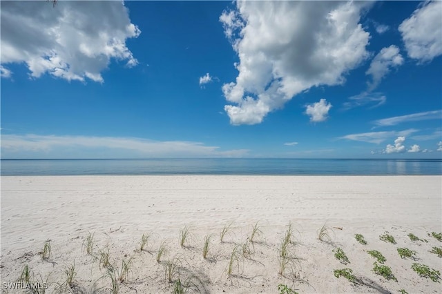 view of water feature featuring a beach view