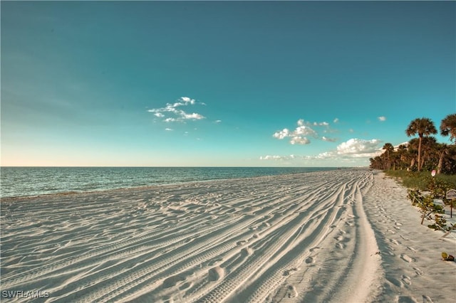 water view featuring a beach view