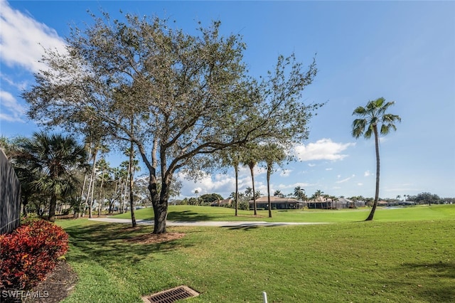 view of community with a lawn