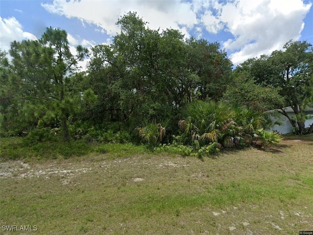 6020 N Moss Cir, Labelle FL, 33935 land for sale