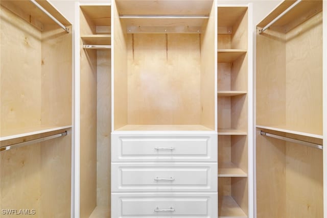 view of spacious closet