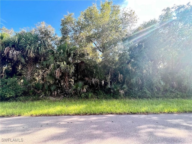 14455 Black Ave, Port Charlotte FL, 33953 land for sale