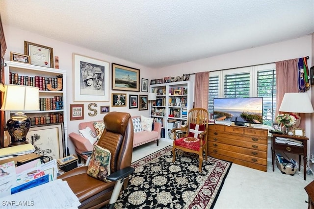 living area featuring carpet floors and a textured ceiling