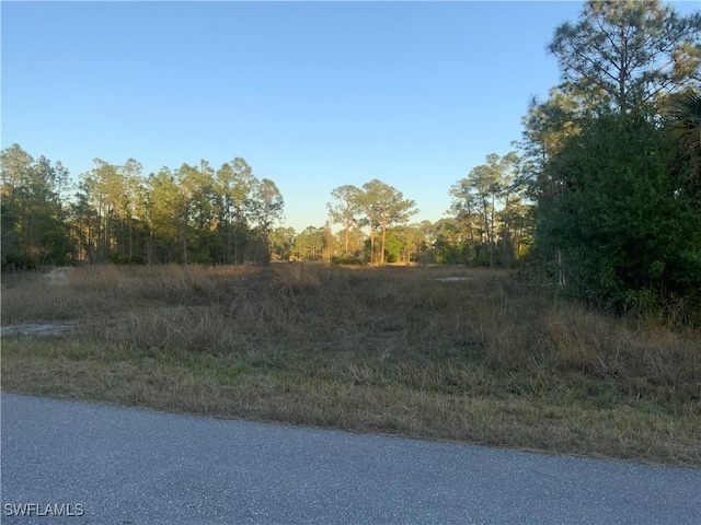 1316 Edison Ave, Lehigh Acres FL, 33972 land for sale