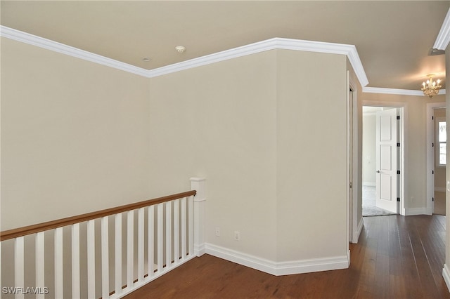 hallway with dark wood-type flooring, crown molding, and an inviting chandelier