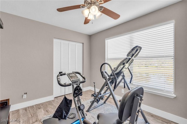 exercise room featuring ceiling fan and light hardwood / wood-style floors