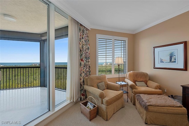 living area featuring carpet floors and ornamental molding