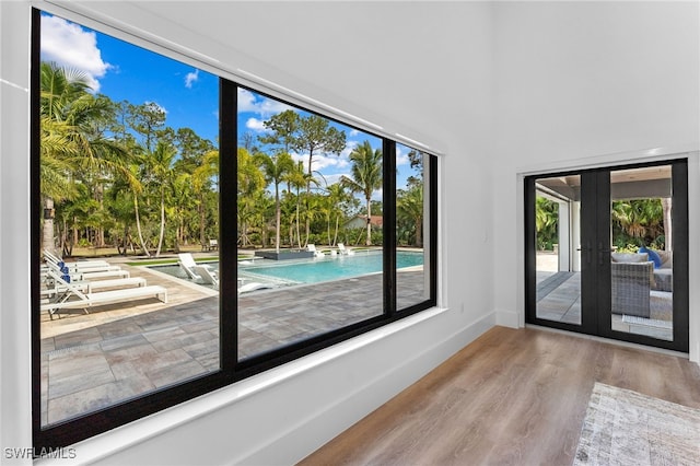 doorway featuring a wealth of natural light, wood-type flooring, and french doors