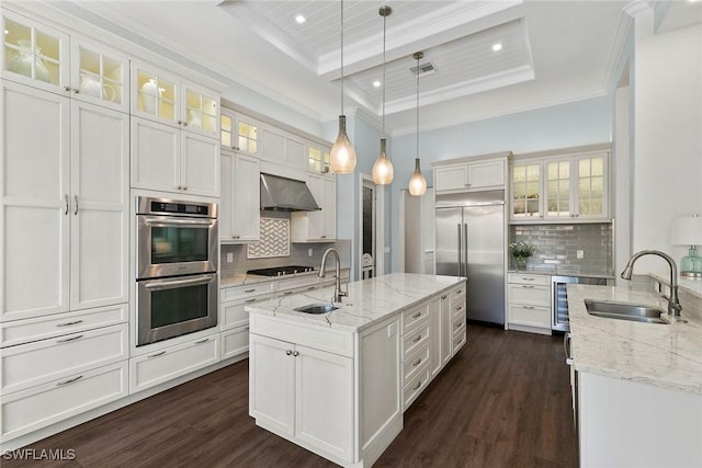 3747 Fountainhead Ln, Naples, FL 34103 - kitchen with appliances with stainless steel finishes, a tray ceiling, ventilation hood, dark wood-type flooring, and beverage cooler