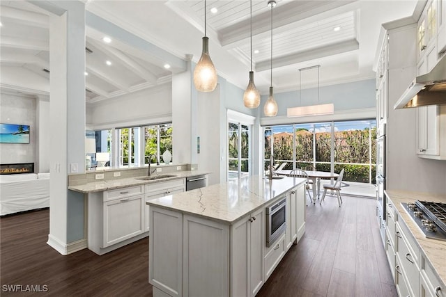 3747 Fountainhead Ln, Naples, FL 34103 - kitchen featuring appliances with stainless steel finishes, dark wood finished floors, recessed lighting, an island with sink, and healthy amount of natural light