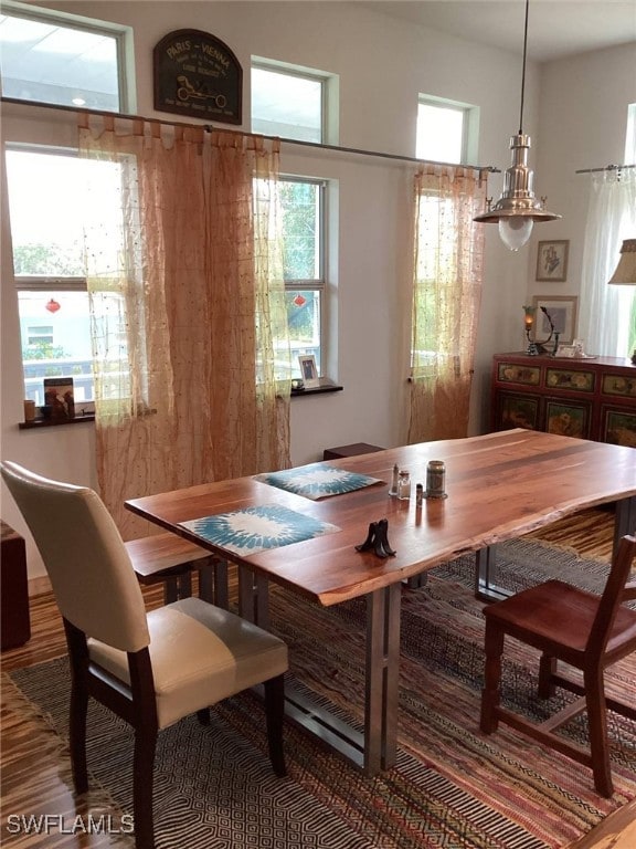 dining room featuring a wealth of natural light