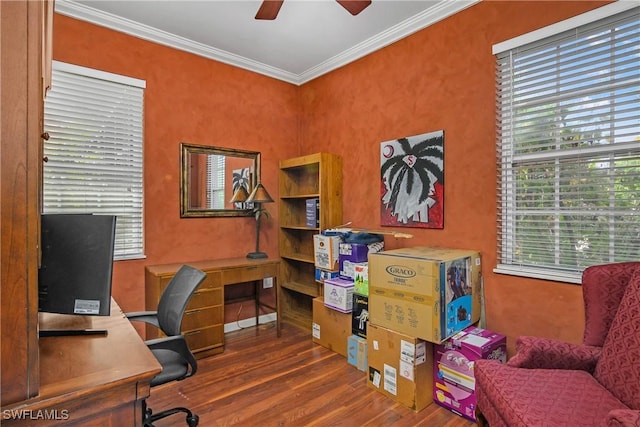 office space featuring a wealth of natural light, ornamental molding, wood finished floors, and a ceiling fan