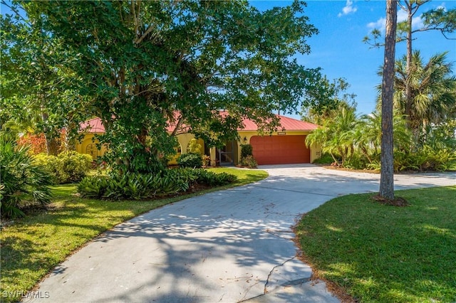 23250 El Dorado Blvd, Bonita Springs, FL 34134 - obstructed view of property with driveway, a garage, a front yard, stucco siding, and metal roof