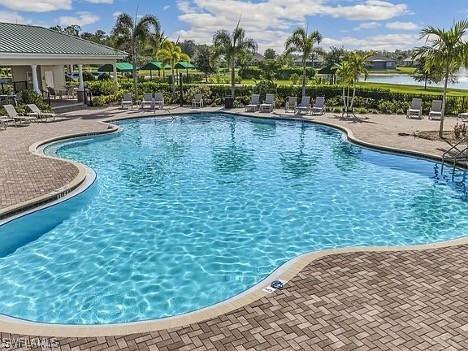 view of pool featuring a patio area