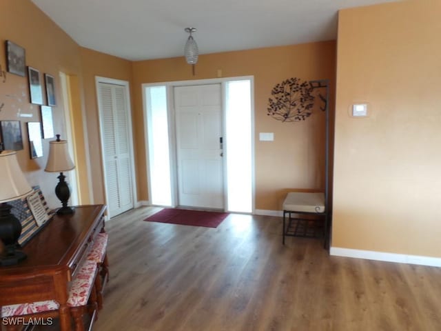 foyer entrance with dark hardwood / wood-style floors