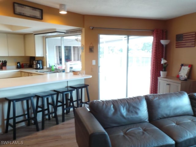 living room with sink and light hardwood / wood-style flooring