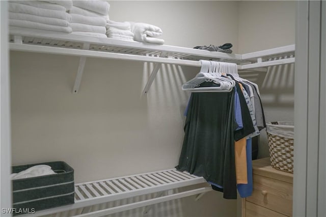 view of spacious closet