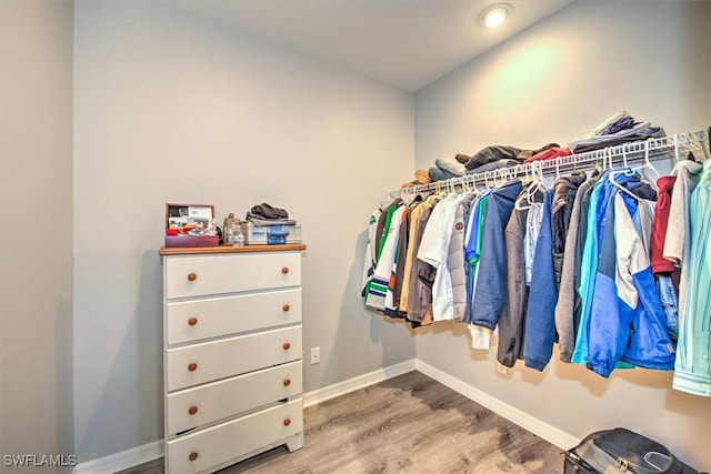 walk in closet with hardwood / wood-style flooring