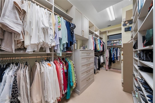 spacious closet featuring light colored carpet