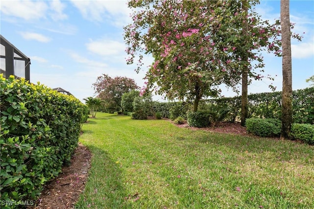 view of yard with a lanai