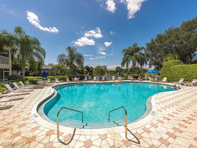 view of swimming pool with a patio area