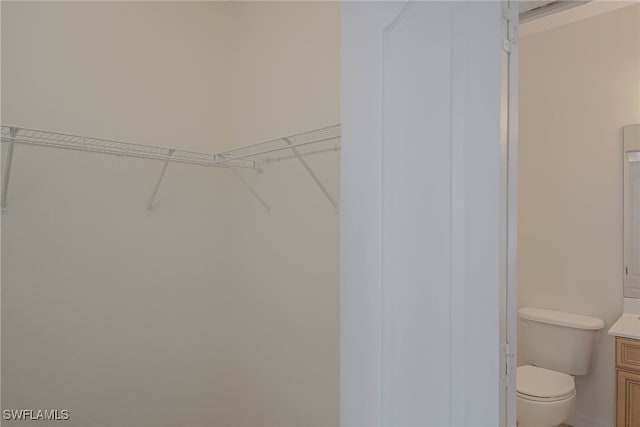 view of spacious closet