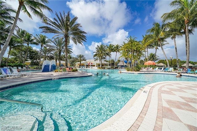 view of pool featuring a patio area