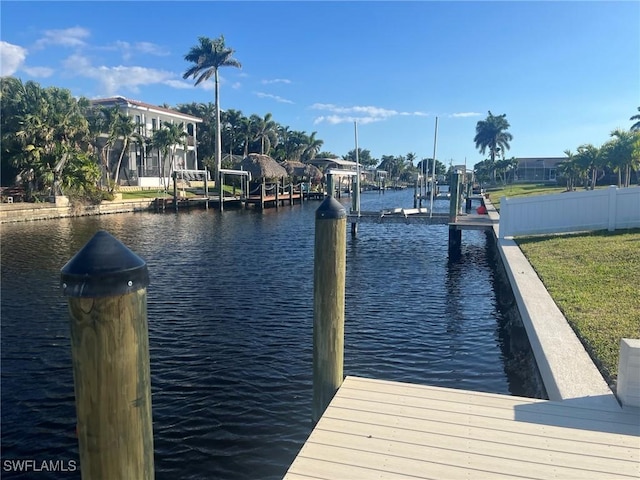 dock area with a water view