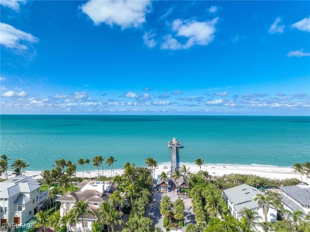 property view of water with a beach view