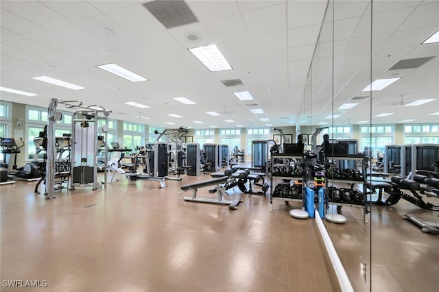 workout area featuring a healthy amount of sunlight and a drop ceiling