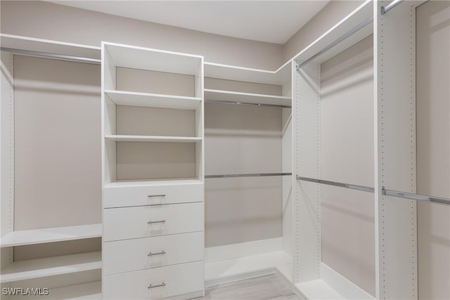 view of walk in closet