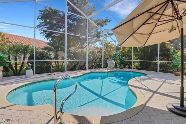 view of pool featuring a lanai and a patio