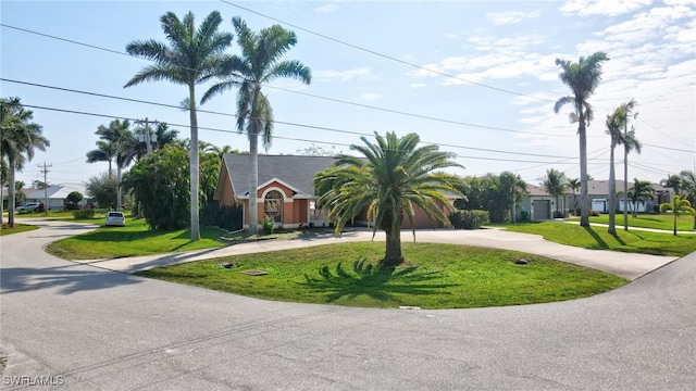 view of front facade with a front lawn and curved driveway