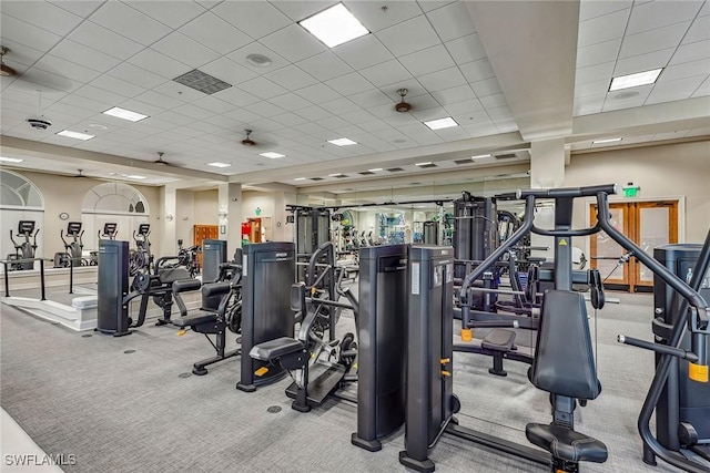 workout area featuring light carpet and a drop ceiling