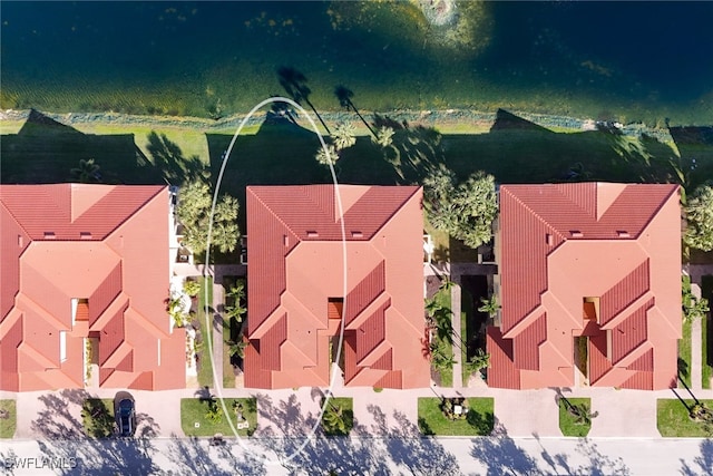 bird's eye view