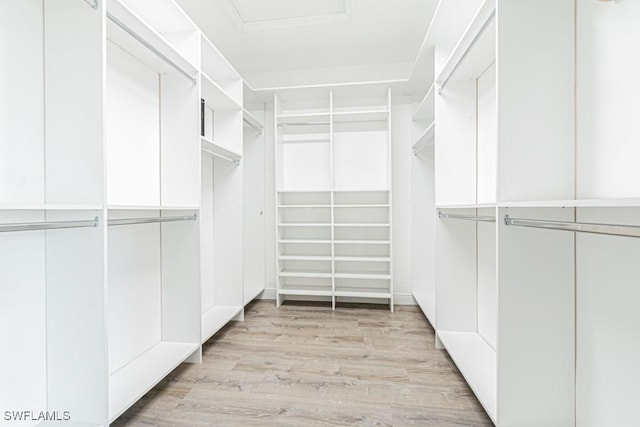 spacious closet featuring light hardwood / wood-style floors