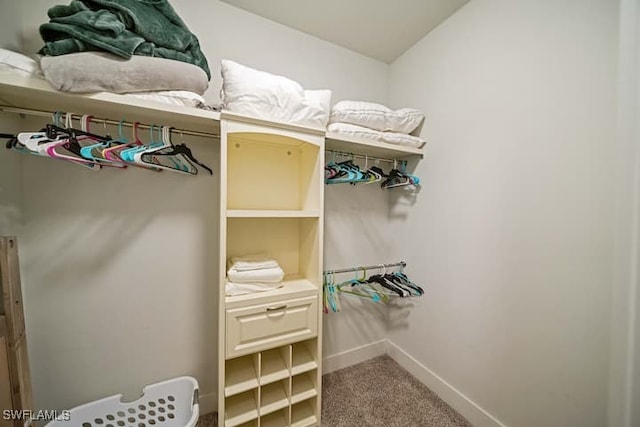 spacious closet featuring lofted ceiling and carpet