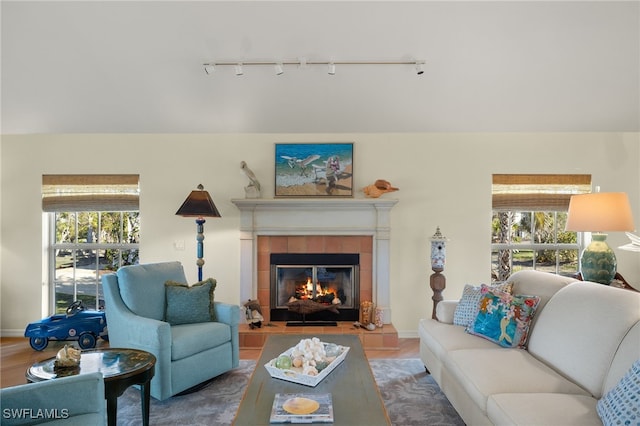 living room featuring a tiled fireplace, hardwood / wood-style flooring, and a healthy amount of sunlight