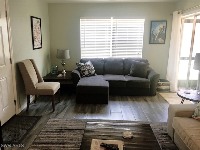 16881 Davis Rd Unit 712, Fort Myers, FL 33908 - living room featuring wood-type flooring