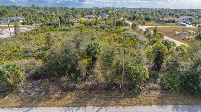 3113 54th St W, Lehigh Acres FL, 33971 land for sale