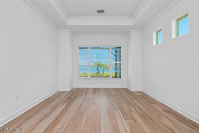 spare room featuring a raised ceiling, ornamental molding, and light wood-type flooring