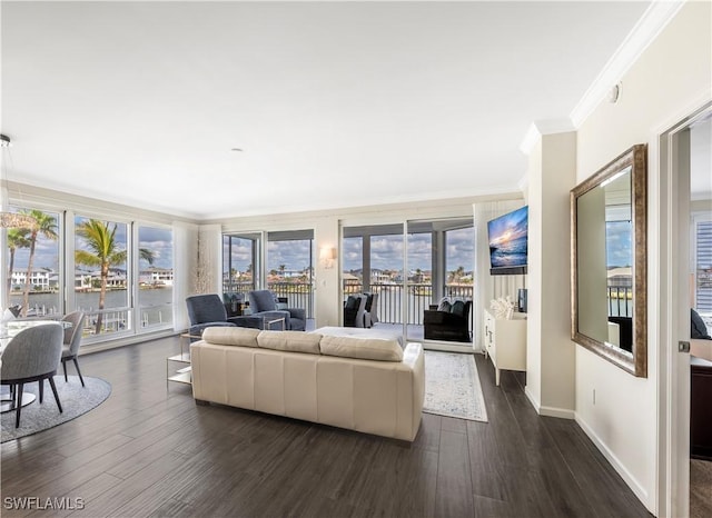 living room featuring crown molding and dark hardwood / wood-style flooring