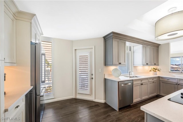 kitchen with stainless steel appliances, gray cabinets, sink, and dark hardwood / wood-style flooring