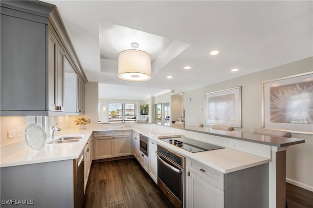 kitchen with sink, stainless steel appliances, dark hardwood / wood-style floors, a raised ceiling, and kitchen peninsula