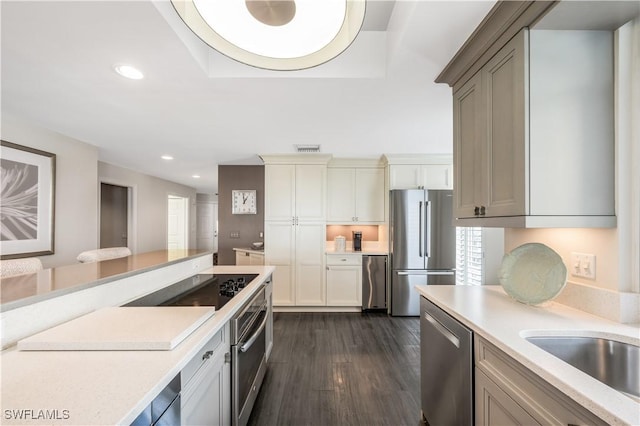 kitchen featuring appliances with stainless steel finishes, dark wood-type flooring, and sink