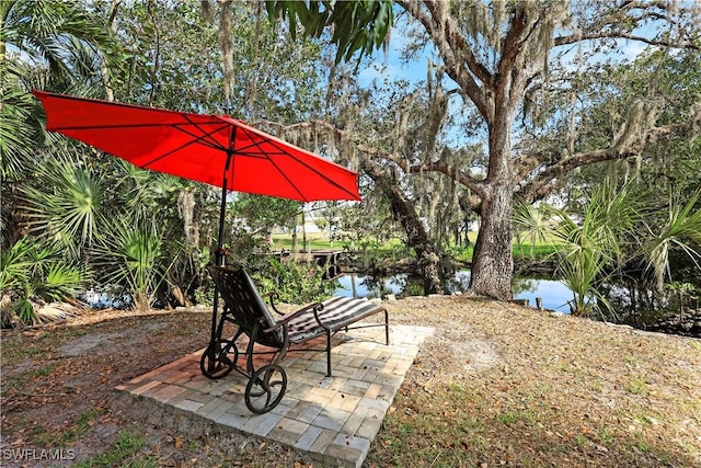 view of yard featuring a patio area and a water view