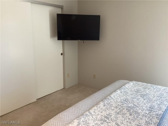 bedroom featuring carpet and a closet